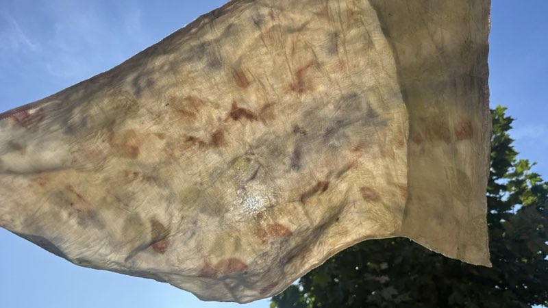 The printed silk lifted into the sun